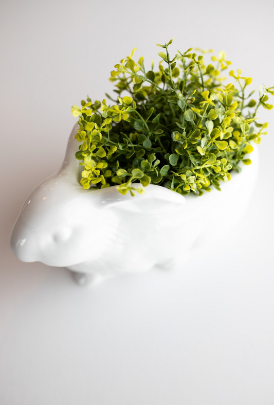 Bunny Planter + Baby Grass Orb